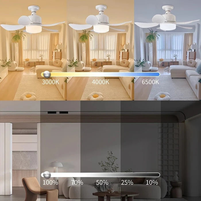 Ventilador de Teto com Luz e Controle Remoto 100W + BRINDE HOJE (Compre 1 Leve 3)