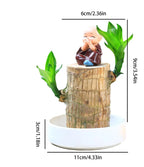 Madeira Brasil Planta da Sorte + Monge de Brinde (COMPRE 1 LEVE 2)